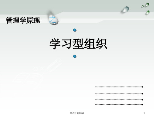 学习型组织.ppt