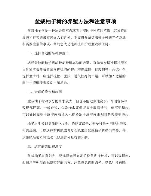 盆栽柚子树的养殖方法和注意事项