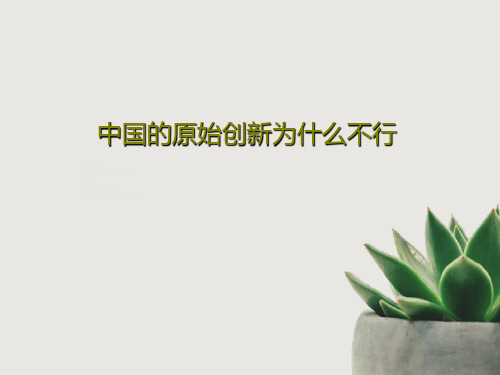 中国的原始创新为什么不行27页文档