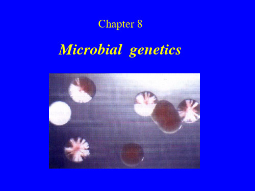 Chapter 8 Microbial genetics