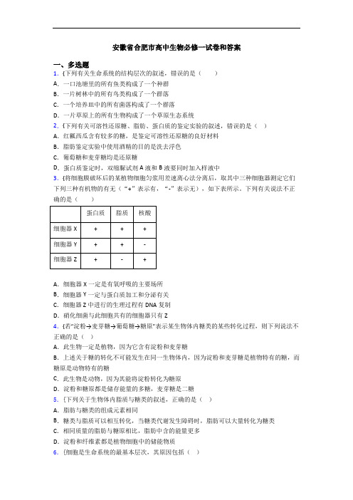 安徽省合肥市高中生物必修一试卷和答案