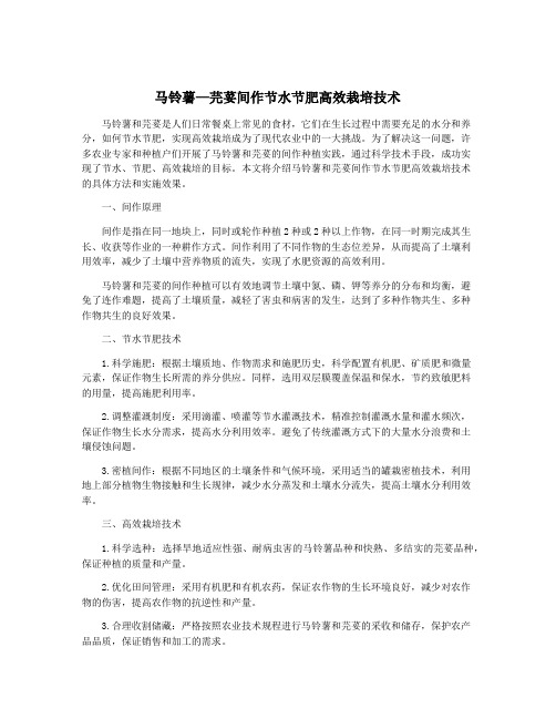 马铃薯—芫荽间作节水节肥高效栽培技术