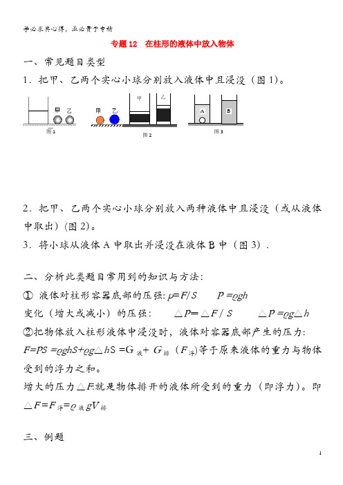 上海市中考物理压强压轴题 专题12 在液体中放入物体(含解析)