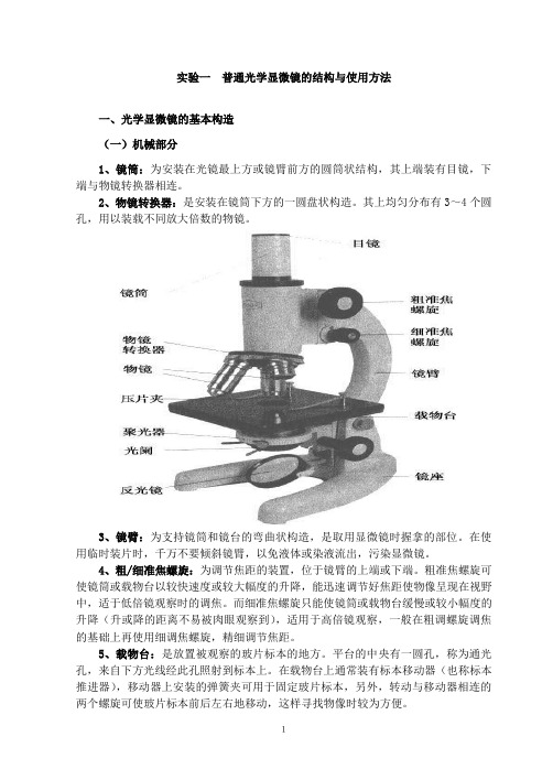 显微镜的结构和使用