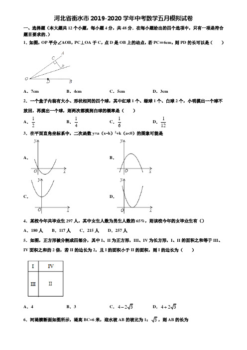 河北省衡水市2019-2020学年中考数学五月模拟试卷含解析