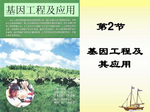人教版教学课件基因工程及其应用 3