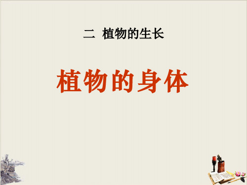 植物的身体_植物的生长ppt精品课件1