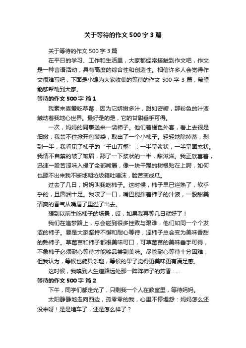 关于等待的作文500字3篇