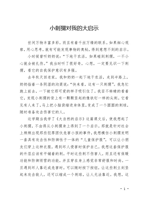 小刺猬对我的大启示