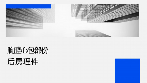 经胸腔镜心包部份切除术后查房护理课件