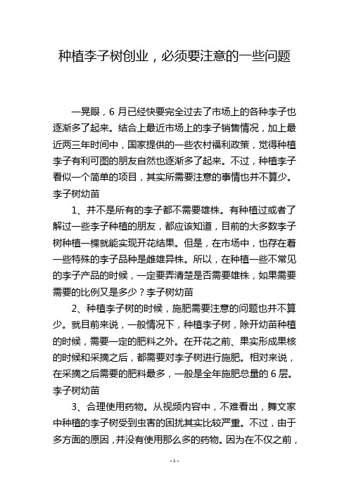 种植李子树创业,必须要注意的一些问题