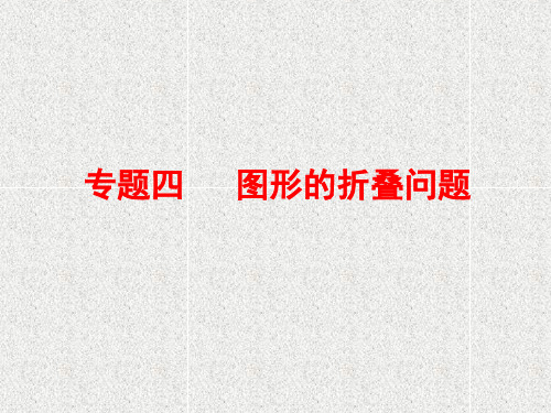 2019年中考数学复习专题四图形的折叠问题