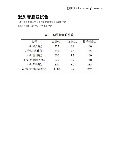 猴头菇瓶栽试验