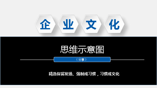企业文化思维示意图