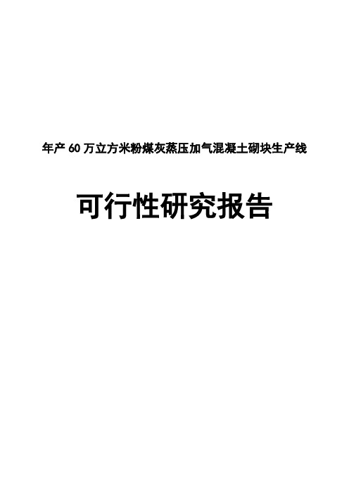 年产60万立方米粉煤灰蒸压加气混凝土砌块生产线可行性分析报告