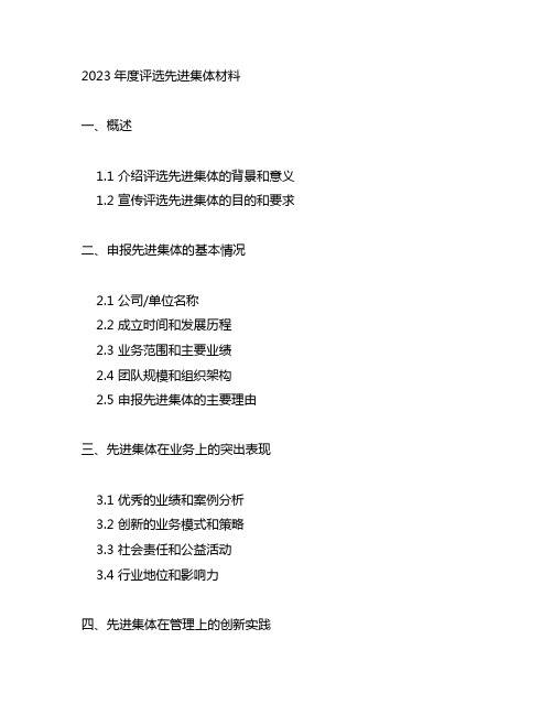 2023年度评选先进集体材料