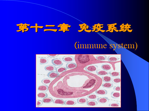 第十二章 免疫系统