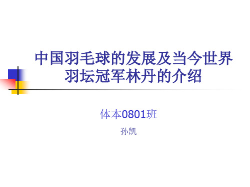 林丹介绍PPT