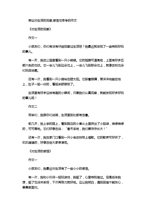 表达对生活的观察,感悟与思考的作文