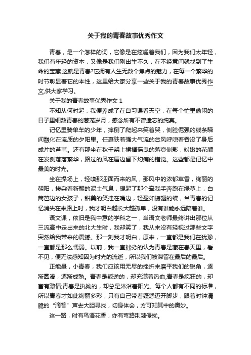 关于我的青春故事优秀作文