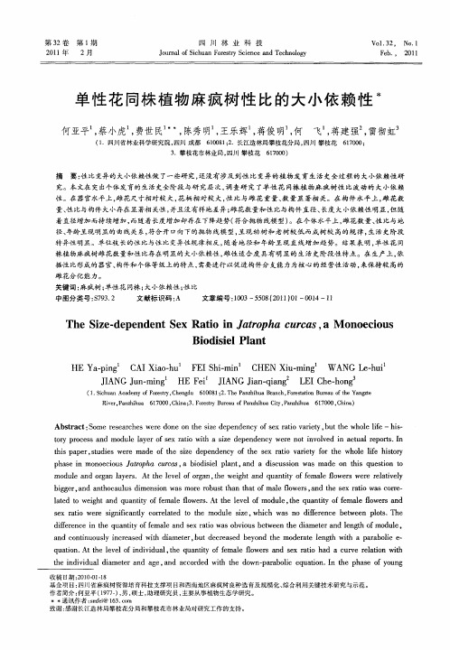 单性花同株植物麻疯树性比的大小依赖性