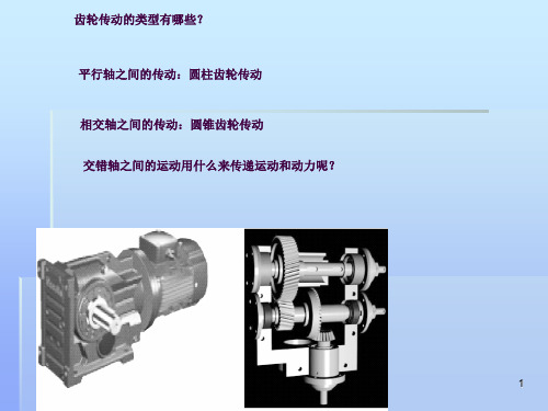 蜗杆传动课件ppt课件