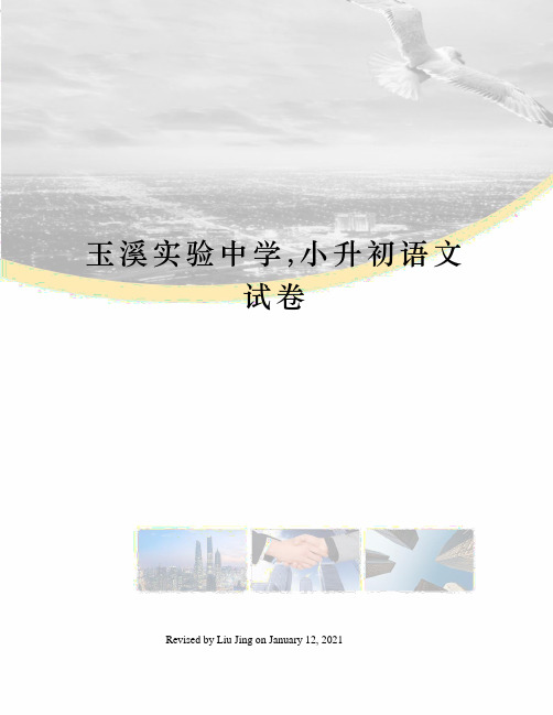 玉溪实验中学,小升初语文试卷