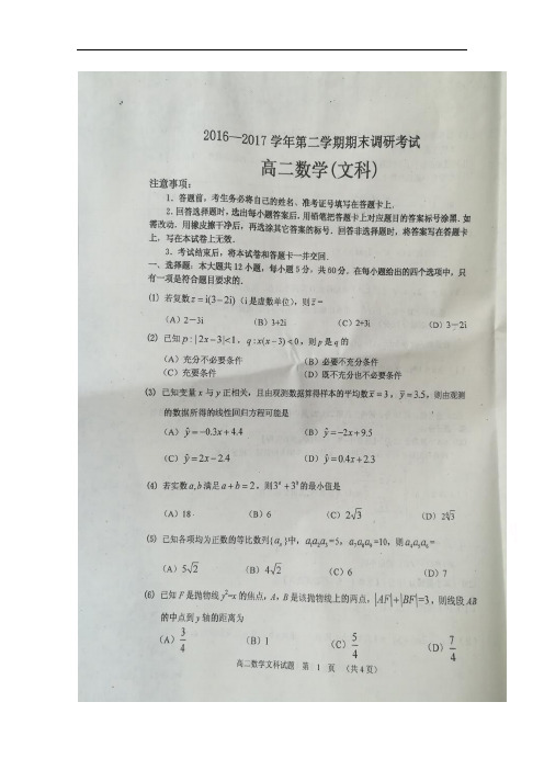 河南省平顶山市高二下学期期末调研考试数学(文)试题