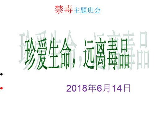 禁毒主题班会(共60张PPT)