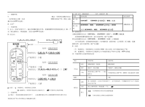 细胞呼吸知识点总结