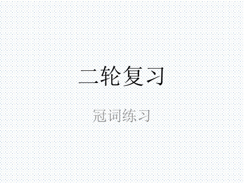 2020学年高中英语二轮复习专题专项攻略详解课件:冠词练习