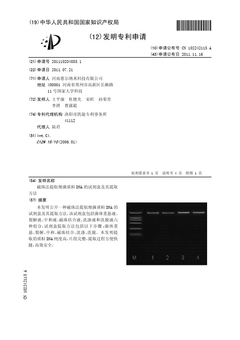 磁珠法提取细菌质粒DNA的试剂盒及其提取方法[发明专利]