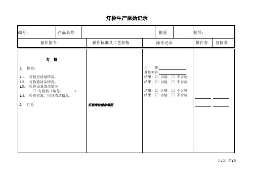 灯检生产原始记录