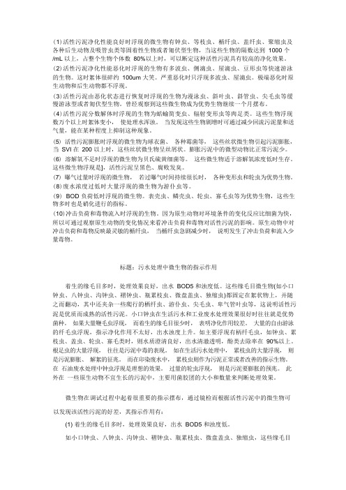 污水处理中微生物的指示作用