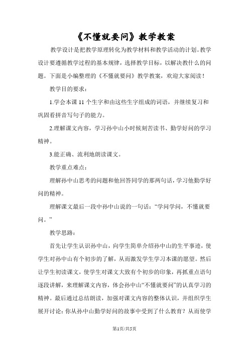 《不懂就要问》教学教案