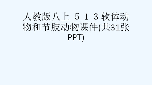 人教版八上 513软体动物和节肢动物课件(共31张PPT)[可修改版ppt]