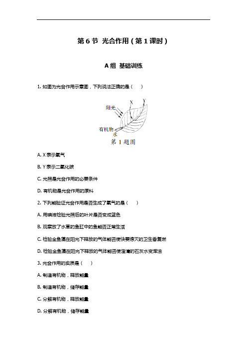 第6节光合作用(第1课时)