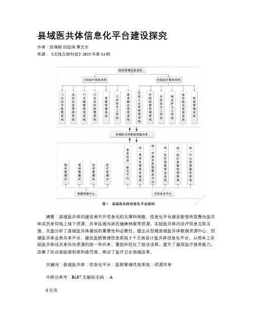 县域医共体信息化平台建设探究