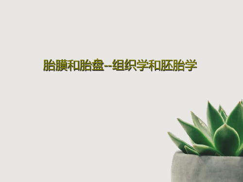 胎膜和胎盘--组织学和胚胎学PPT文档42页