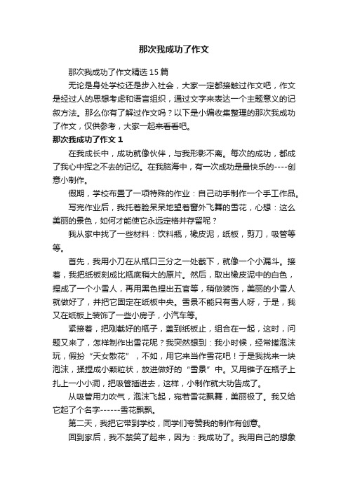 那次我成功了作文精选15篇