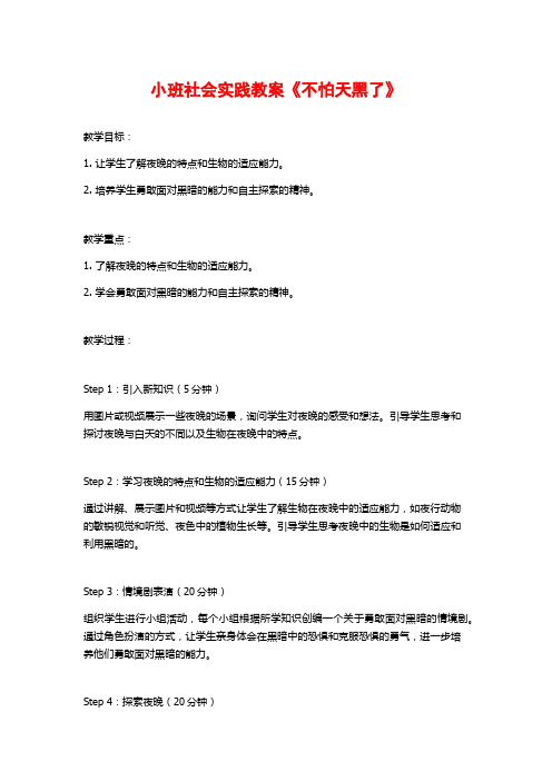 小班社会实践教案《不怕天黑了》 (2)