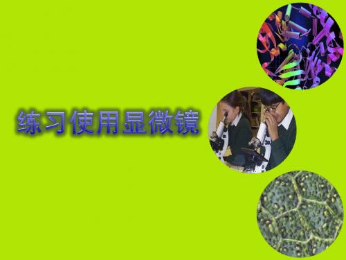 人教版七年级上册生物  2.1.1 练习使用显微镜 课件   (共18张PPT)