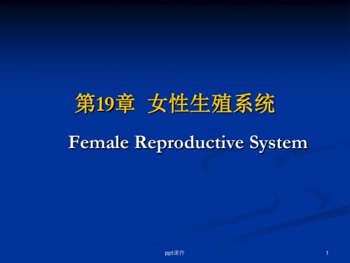 女性生殖系统(妇科)  ppt课件