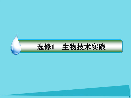 高考生物一轮复习-生物技术实践 第36讲 微生物的培养与应用课件(选修1)