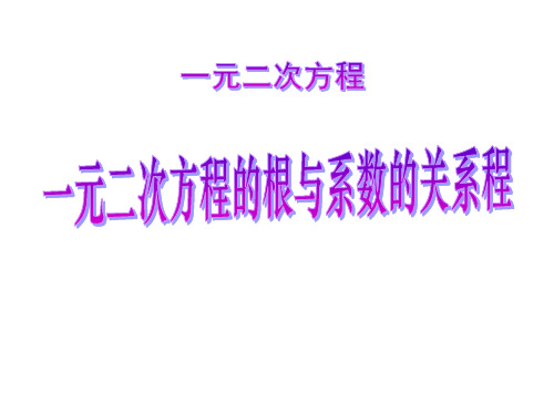 北师大九年级数学上2.5 一元二次方程_根与系数的关系