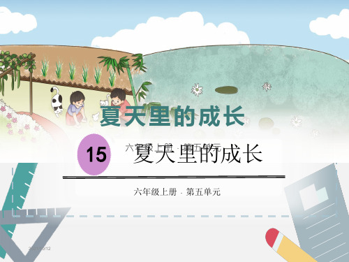 《夏天里的成长》(完美版)PPT课件