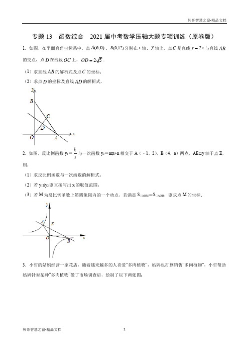 函数综合-2021届中考数学压轴大题专项训练(原卷版)