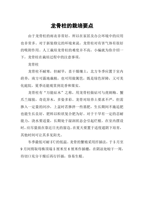 龙骨柱的栽培要点