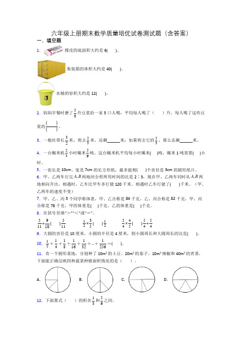 六年级上册期末数学质量培优试卷测试题(含答案)