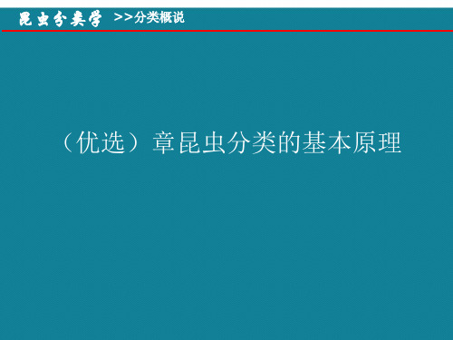 (优选)章昆虫分类的基本原理Ppt